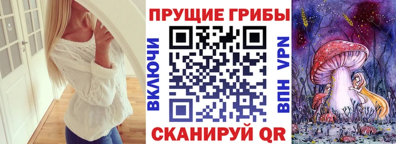 наркота Пошехонье блэк спрут ССЫЛКА Псилоцибиновые грибы прущие грибы